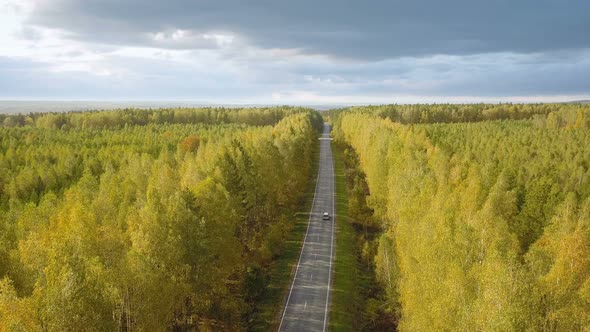 Autumn Nature Country Road