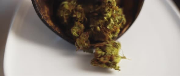 Close up of cannabis buds being spread on a white plate, shallow depth of field
