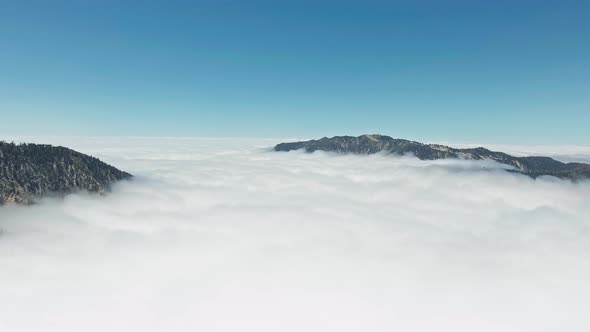 Aerial footage of mountain peaks and forests above fluffy white clouds in California, USA