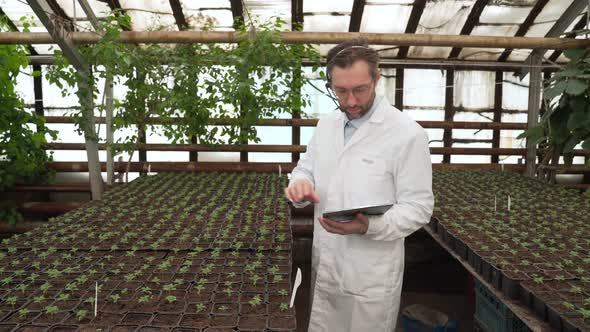 Biologist Examines Seedlings and Counts Them Looks at the Tablet and Checks the Information