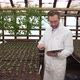 Biologist Examines Seedlings and Counts Them Looks at the Tablet and Checks the Information - VideoHive Item for Sale