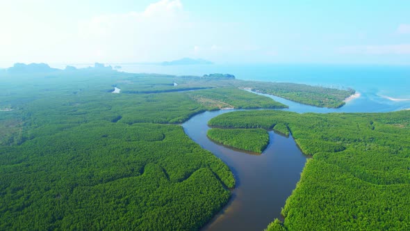 Top view of winding river in tropical mangrove green tree forest in khao jom pa