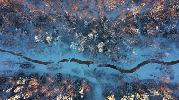 Topdown View of the River and Trees in the Snow