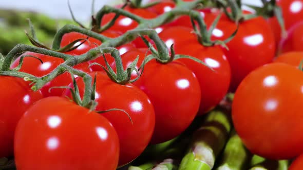 Fresh Tomato Harvest for Traditional Italian Cuisine and Foods