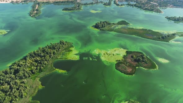 aerial of wide river with green islands and green algae in water