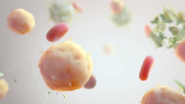 3D Animated Immune Cells Destroy Cancer Cells