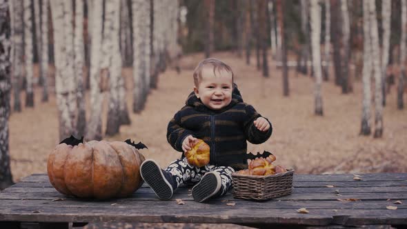 10 Month Old Baby Sit with Pumpkin and Bun on Wooden Table in Autumn Forest