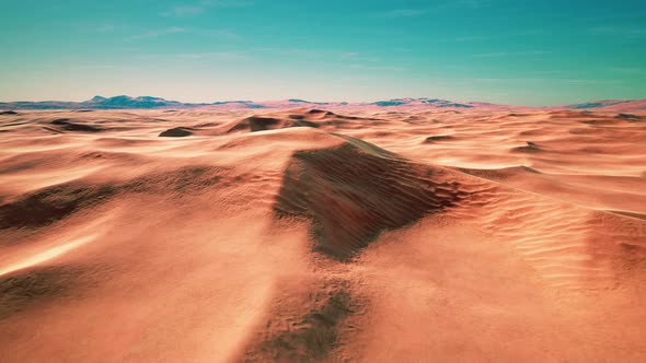 Wide and Wild Landscape of the Arabic Sand Desert