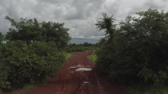 Africa Mali Forest And Red Road Aerial View