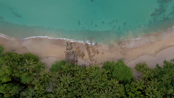 Banana Beach Phuket Thailand White Sandy Beach with Palm Trees View From Drone Aerial View at Beach