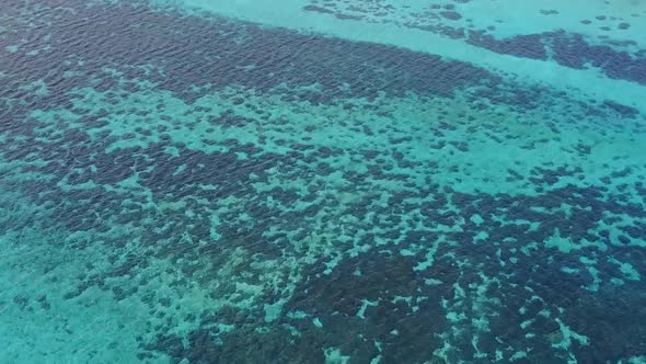 Aerial drone texture of coastline beach wildlife by blue sea and sand background