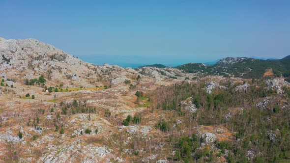 Aerial View of the Rocky Mountains with Old Trees in National Park Lovcen Montenegro