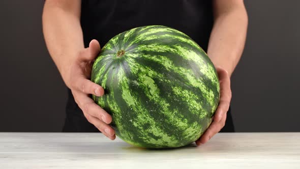 Closeup Male Hands Putting Fresh Ripe Striped Green Watermelon on Wooden Table Tropical Harvest