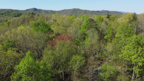 Black Mountain, NC, Asheville, NC mountains in spring with church in shot