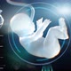 medical Interface, unborn child in the womb 3D render - VideoHive Item for Sale