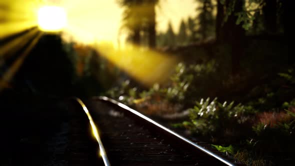 Autumn Colours Along a Railway Track at Sunset