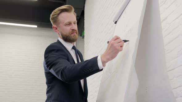 Young Businessman Standing Near a Flip Chart and Explaining the Company Structure