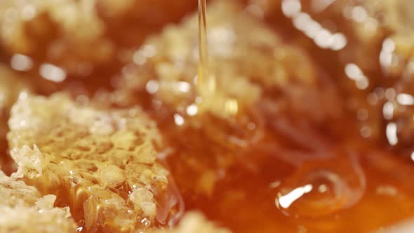 A Wooden Honey Spoon is Dipping in Honeycomb