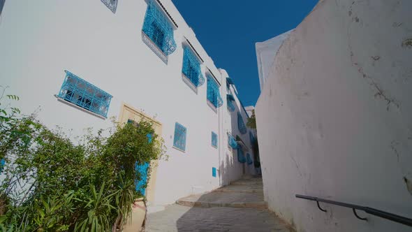 Traditional blue and white village in Tunisia.