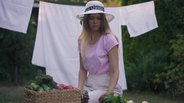 Young Slim Caucasian Woman Choosing Tomatos in Slow Motion Sitting Outdoors in Garden with Clean