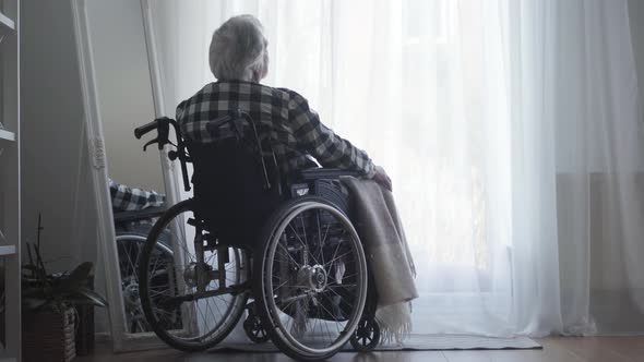 Back View of Old Caucasian Man Sitting in Wheelchair in Front of Big Window Closed with Curtain and