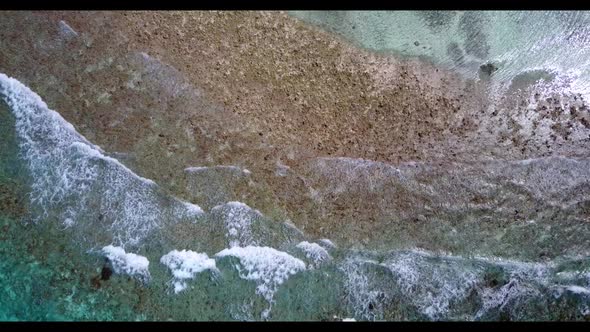 Aerial landscape of idyllic island beach wildlife by transparent lagoon and white sandy background o