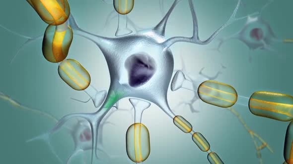 Synapse and Neurons sending electrical signals and chemical signaling