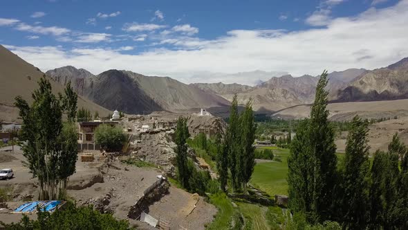 Flying through trees in the Tibetan Himalayan landscape of Ladakh, India