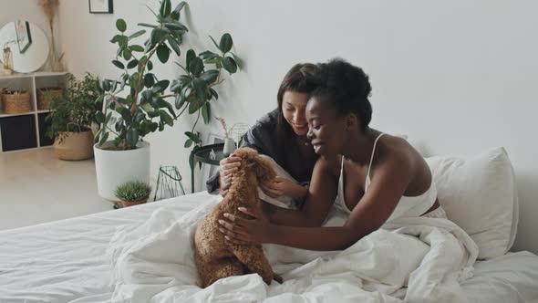 Happy Female Couple Petting Their Dog in Bed