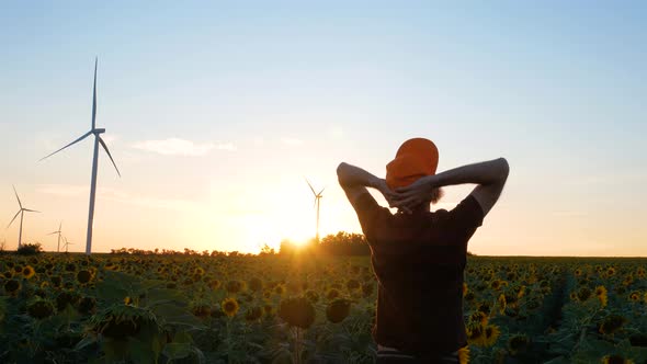 Young man in orange cap in yellow sunflowers crops field with wind turbines farm on sunset landscape