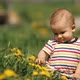 Little Child Sits on the Grass Among the Flowers - VideoHive Item for Sale