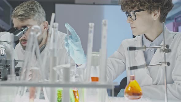 Scientists Discussing Experiment in Laboratory alt
