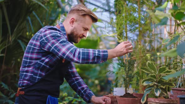 Concentrated Gardener Man Put Some Drops of