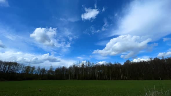 Timelapse of Clouds Over Forests