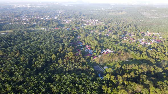 Aerial view Malays kampung near the green plantation
