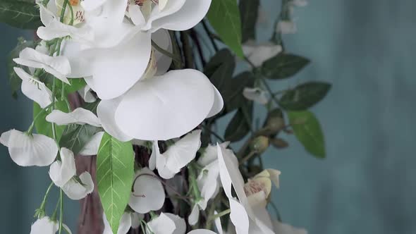 Grand White Orchid with Burgeons Slow Motion Close View