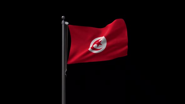 Tunisia Flag On Flagpole With Alpha Channel