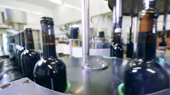 Wine Production Process at a Wine Factory