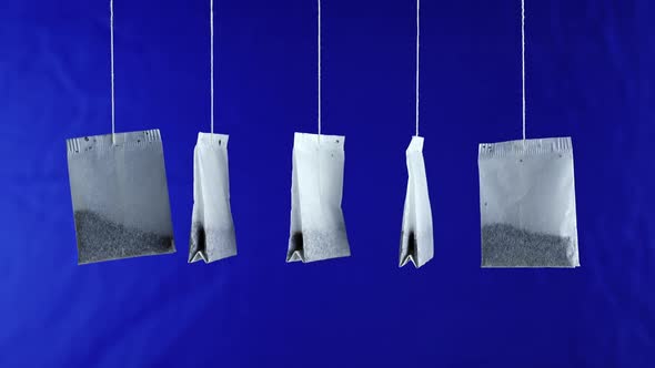 Line of Tea Bags with Natural Brew Hang on Blue Background