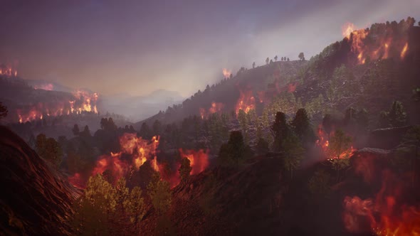 Wildfire Burns a High Mountain Forest 01