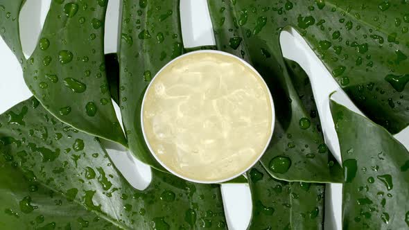 Yellow Cosmetic Cream with Rotation on Background of Tropical Leaves Monstera