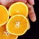Orange slices on the palm. - VideoHive Item for Sale