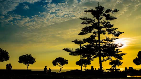 Silhouettes during Sunset