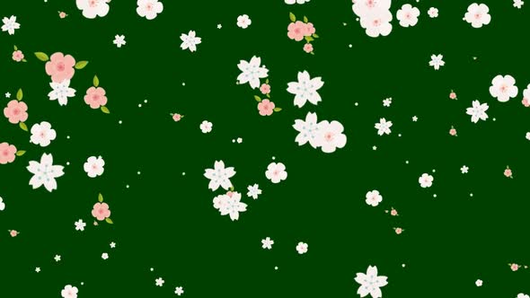 Spring Green Background flowers white