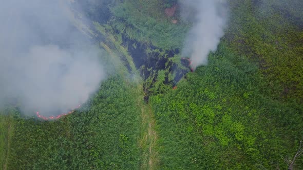 Flight Through a Smoke From Burning Green Field, Wild Fire in Nature Landscape, Aerial Footage From