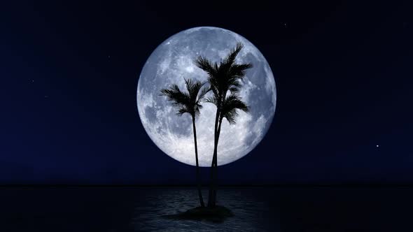 Big Moon and Palm Tree