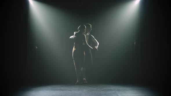 A Young Woman Approaches Her Partner Passionately and the Couple Dances Argentine Tango. Dark