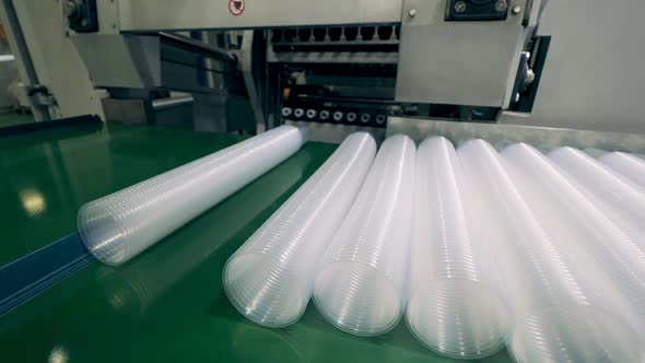 Disposable Plastic Cups Stacks on Conveyor Line