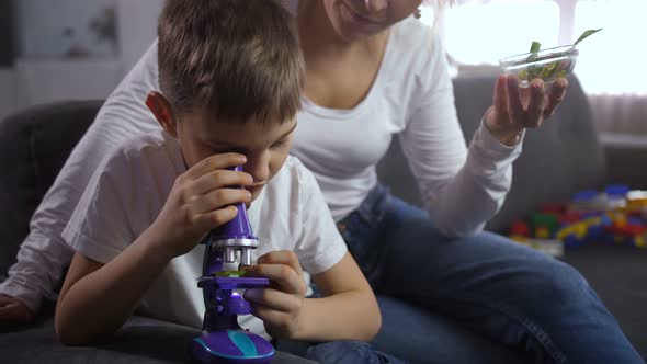 Little Son Studying Botany Under Microscope