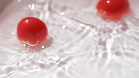 Slow motion fresh tomatoes shower water cleaning Concept It looks optimistic and healthy.